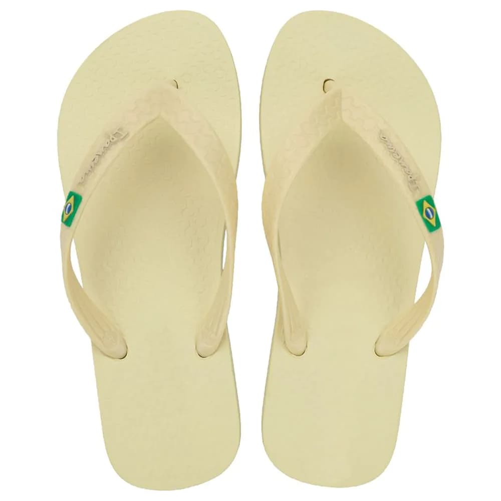 Chinelo Feminino Ipanema Brasil Light 27453