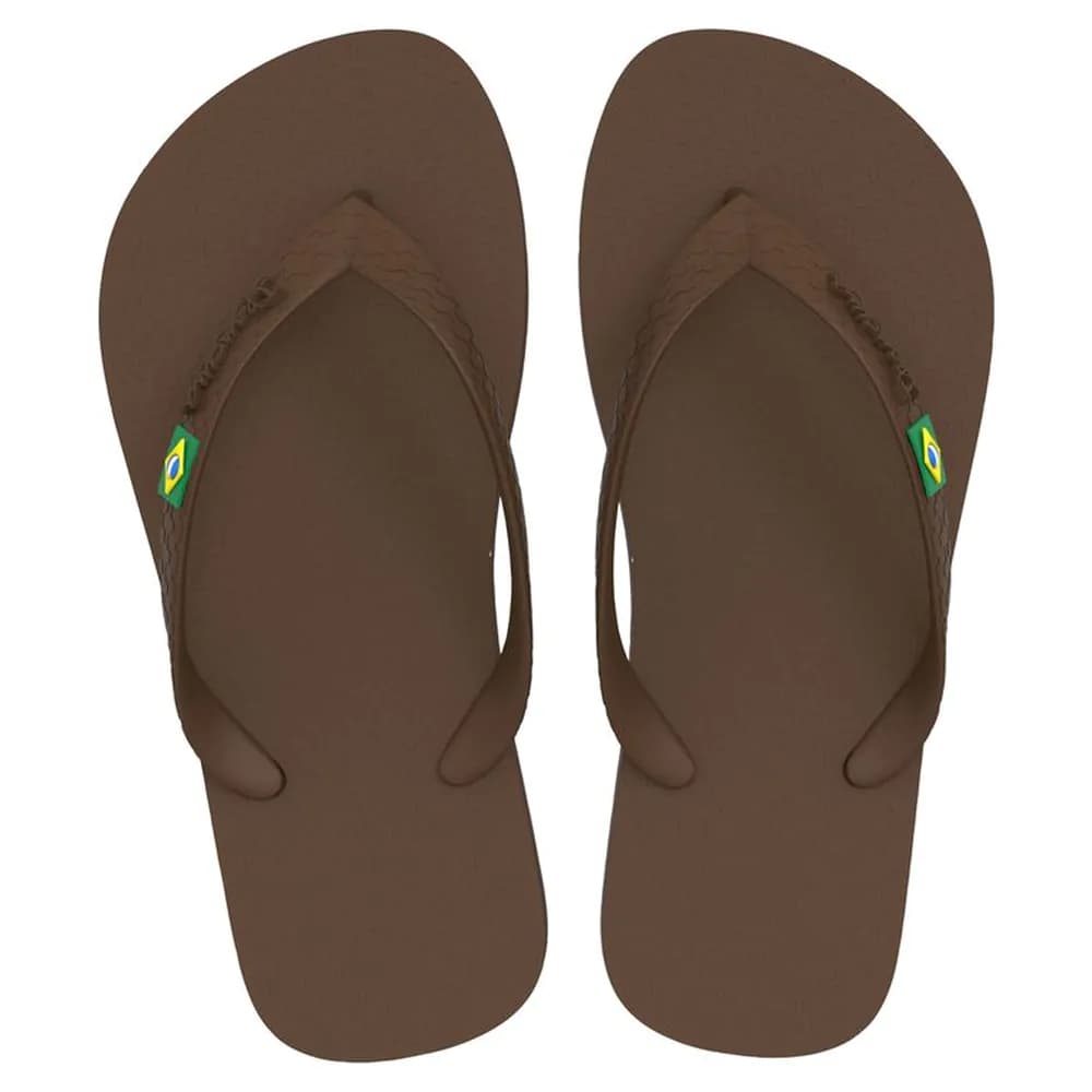 Chinelo Feminino Ipanema Brasil Light 27453