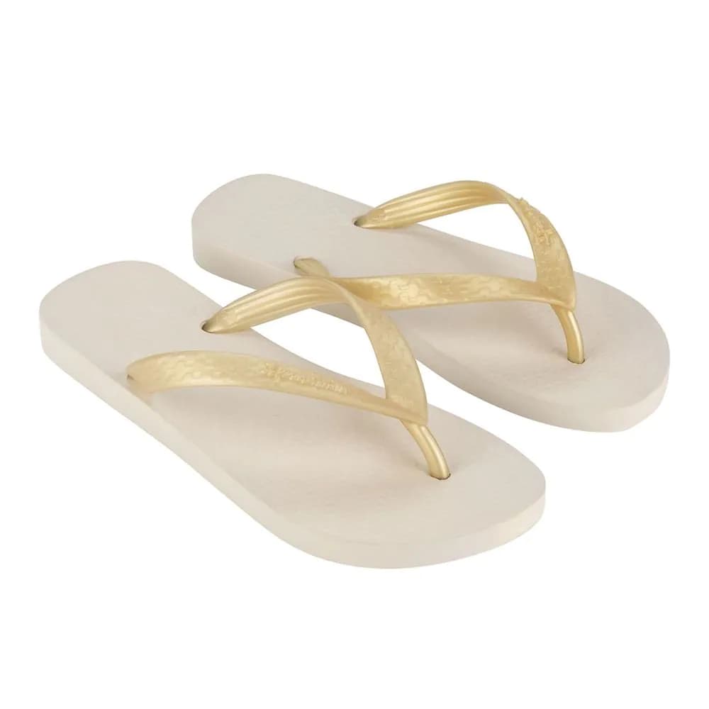 Chinelo Feminino Ipanema Clássica 06466
