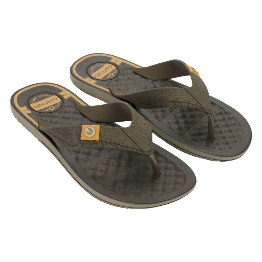 Chinelo Masculino Cartago Arizona Dedo 12212